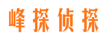 盐亭外遇出轨调查取证